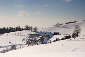 Phoca Thumb M Bauernhof Winter Freiamt 4680 2021